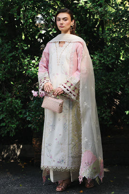 RP-02 AYLIN